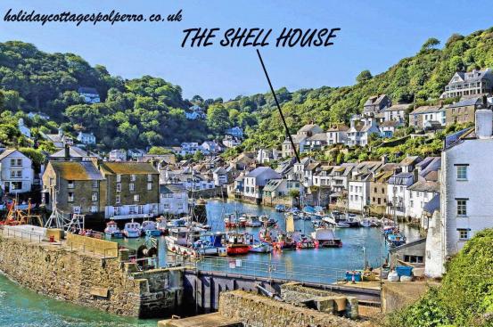 The Shell House